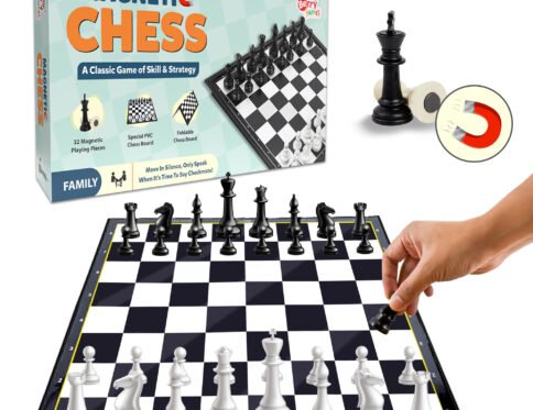 Magnetic Chess